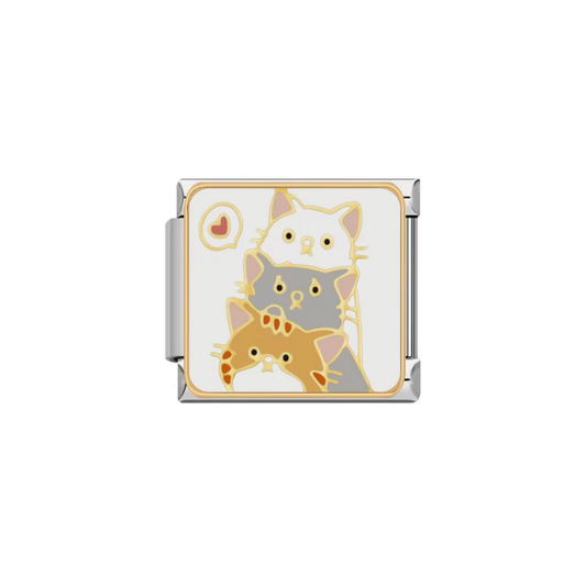 CHARM 3 GATITOS