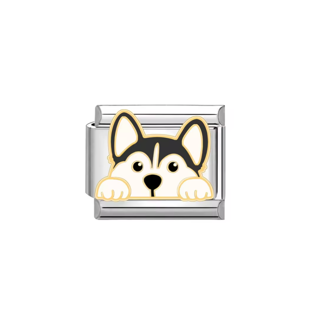 CHARM HUSKY