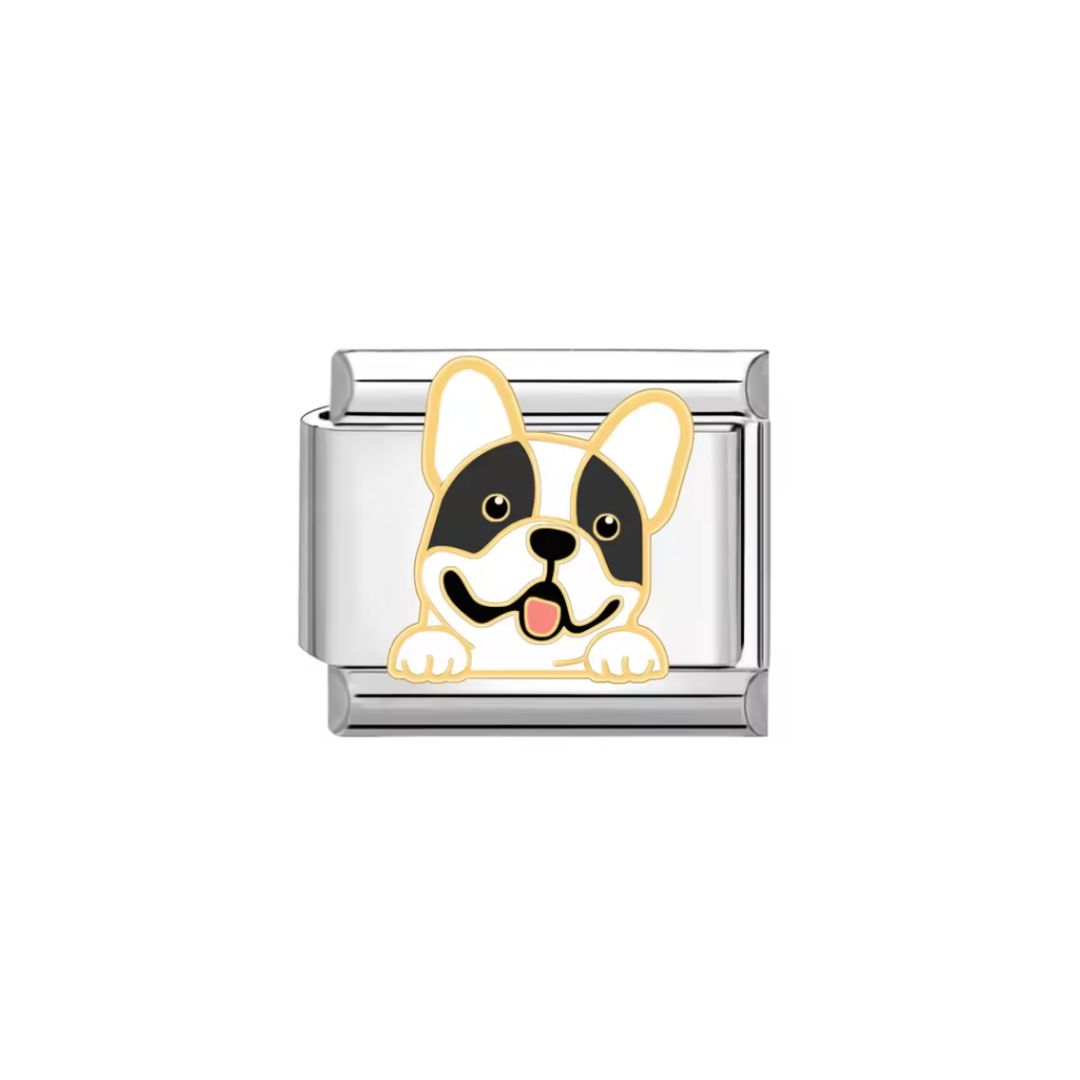 CHARM FRENCH BULLDOG