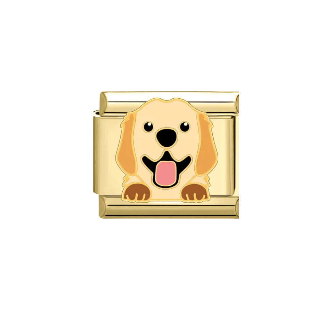 CHARM GOLDEN RETRIEVER