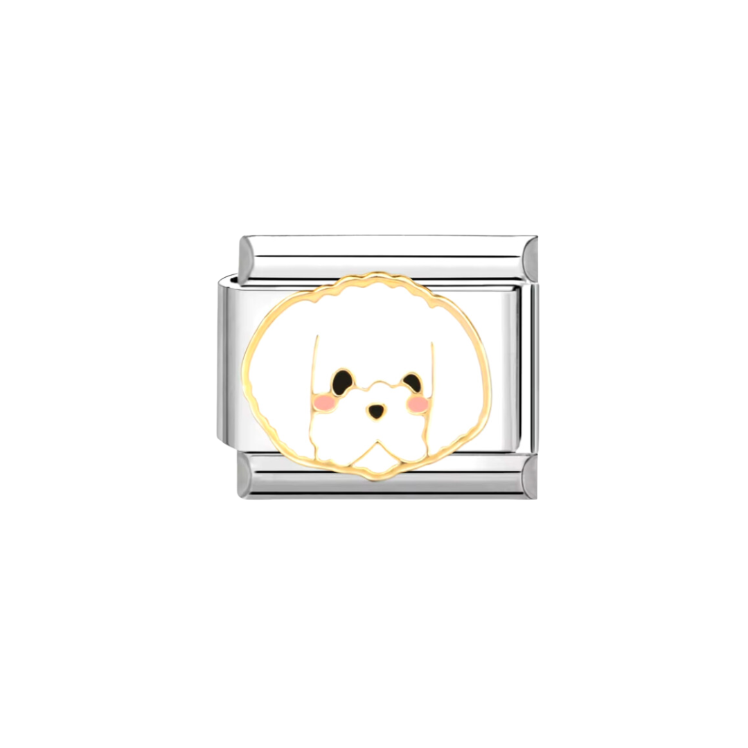 CHARM DOG