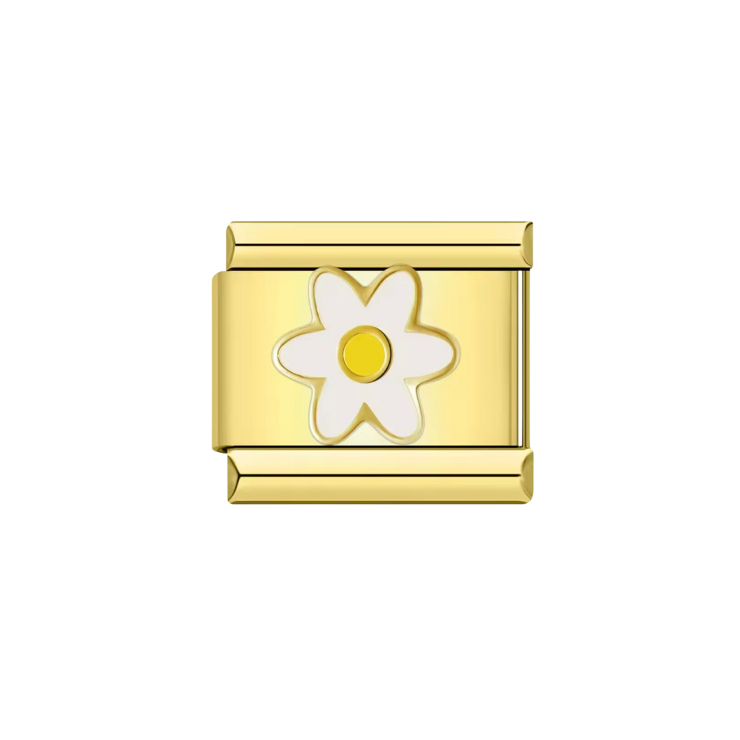 CHARM DAISY
