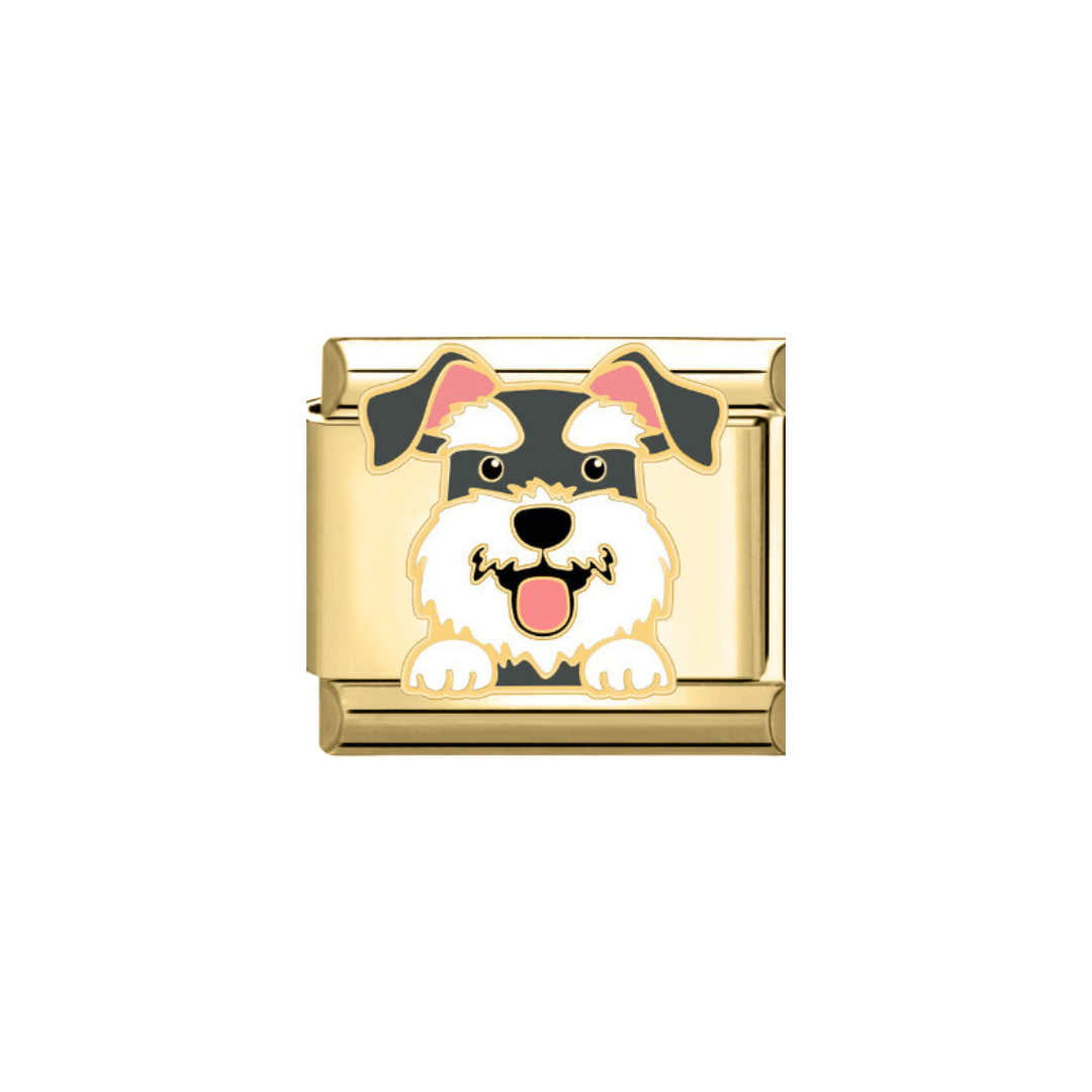 CHARM SCHNAUZER