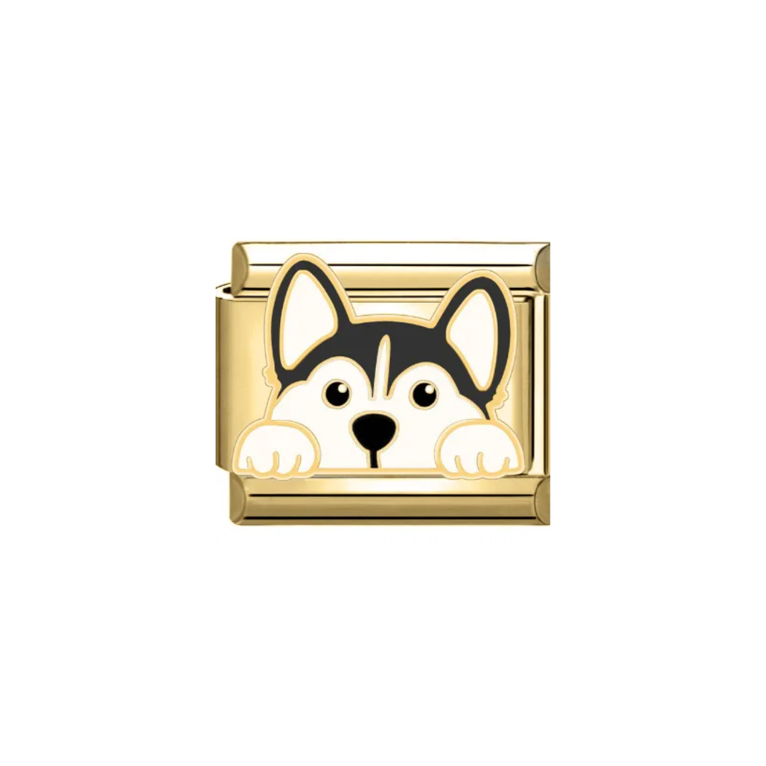 CHARM HUSKY