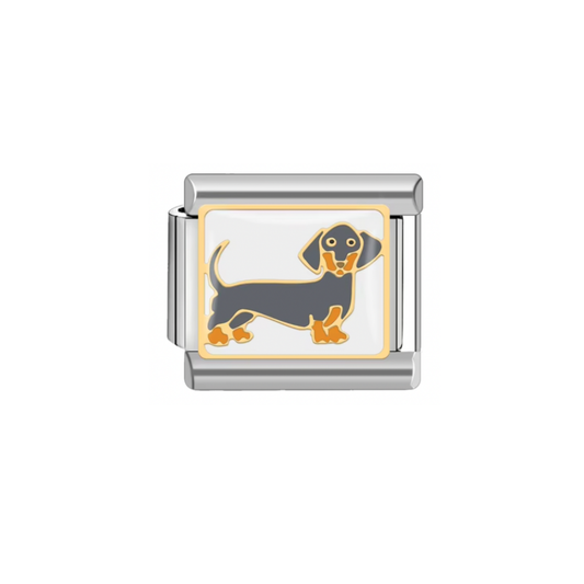 CHARM PERRITO SALCHICHA