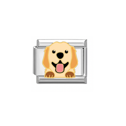 CHARM GOLDEN RETRIEVER