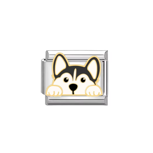 CHARM HUSKY