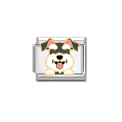 CHARM SCHNAUZER