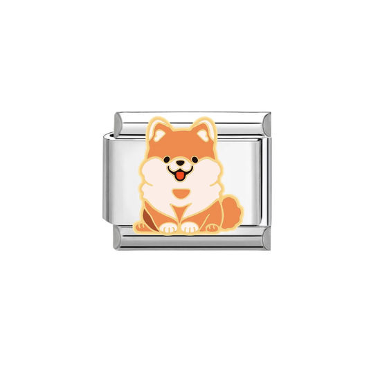 CHARM POMERANIA