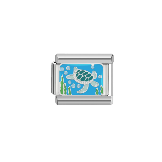 CHARM TURTLE
