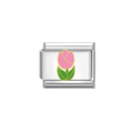 CHARM TULIP