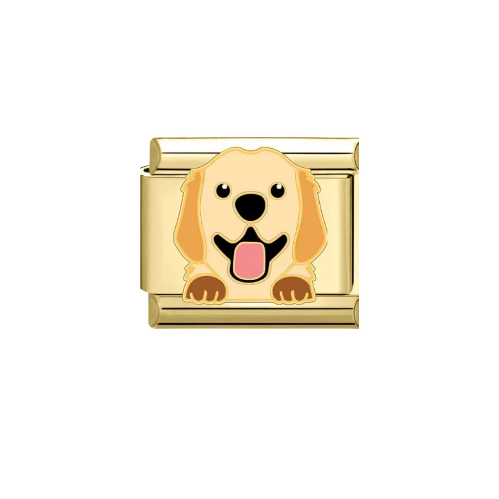 CHARM GOLDEN RETRIEVER