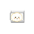CHARM DOG