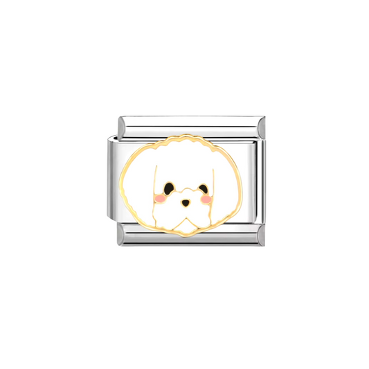 CHARM DOG