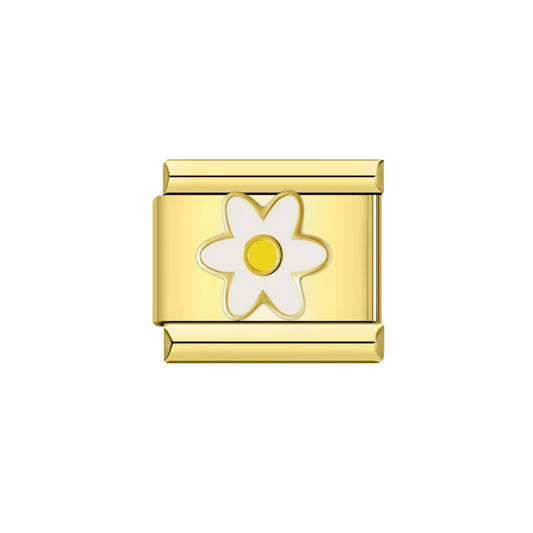 CHARM DAISY