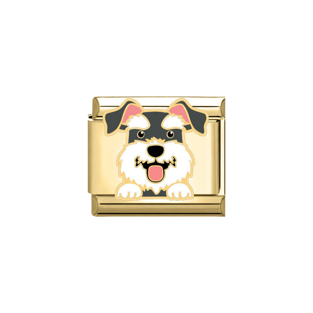 CHARM SCHNAUZER