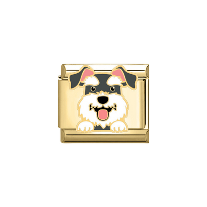 CHARM SCHNAUZER