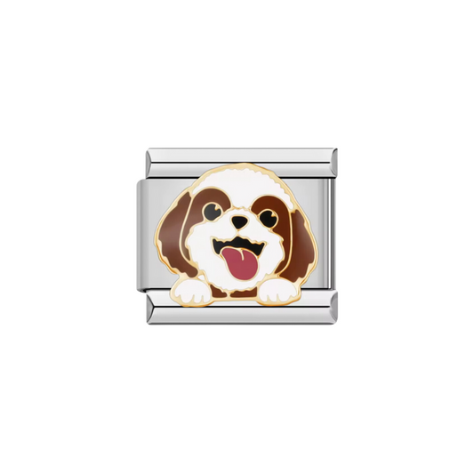 CHARM SHIH TZU