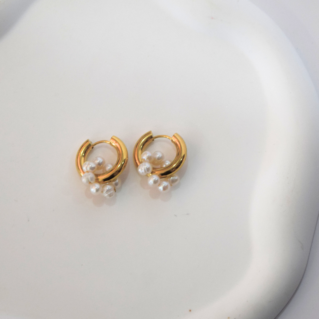 ARETES DINA