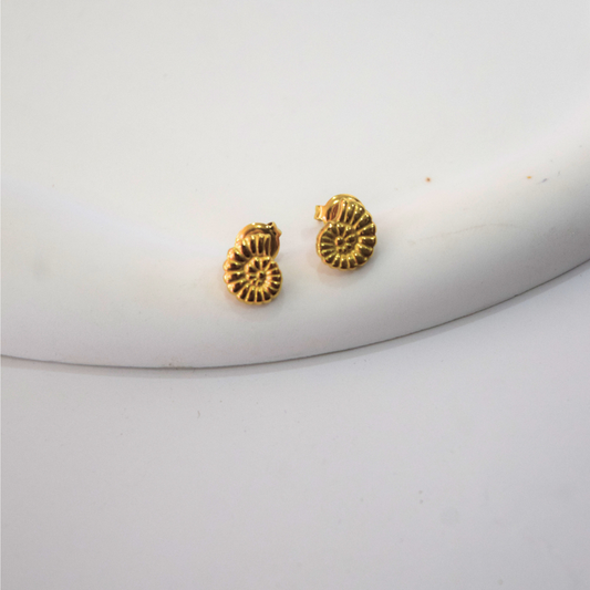 ARETES COVE