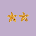 ARETES AZALEA