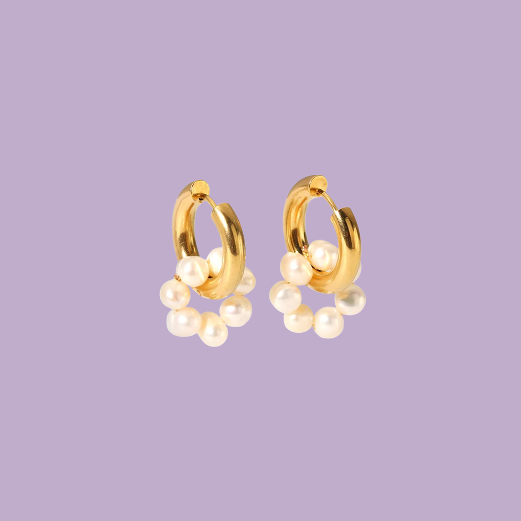 ARETES DINA
