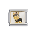 CHARM YORKIE